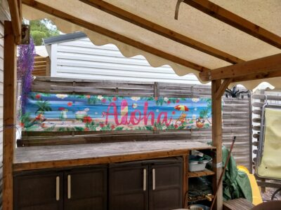 GRAU DU ROI CAMPING EDEN 5* MH CLIMATISE MER A 400M