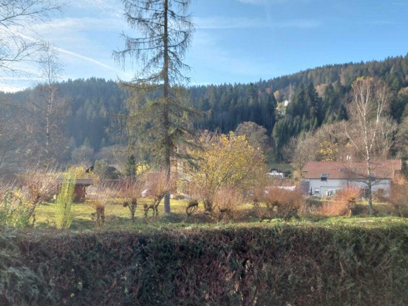 Appartement T2 la Clairière du lac, plain-pied, terrasse fermée