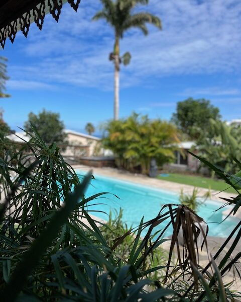 L'Allamanda gîte de 2 à 4 personnes La Réunion