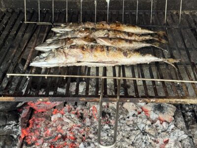 Location de chambres dans maison individuelle