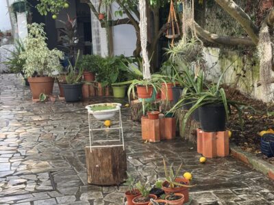 Location de chambres dans maison individuelle