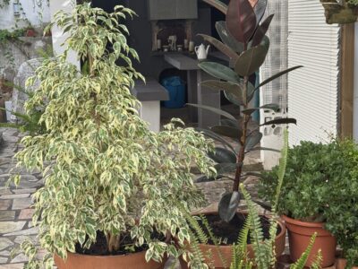 Location de chambres dans maison individuelle