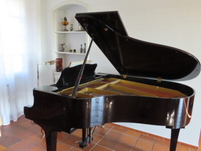 Loue villa jusqu'à 8 personnes avec piscine et piano à queue