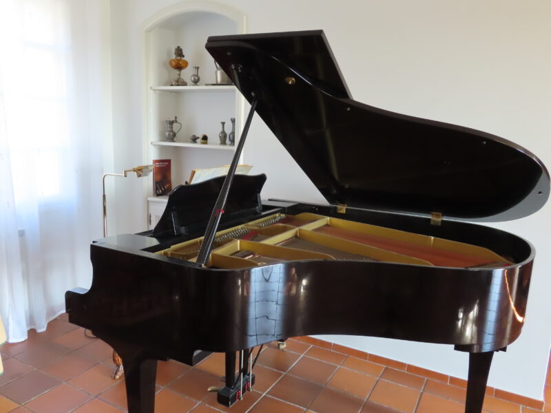 Loue villa jusqu'à 8 personnes avec piscine et piano à queue