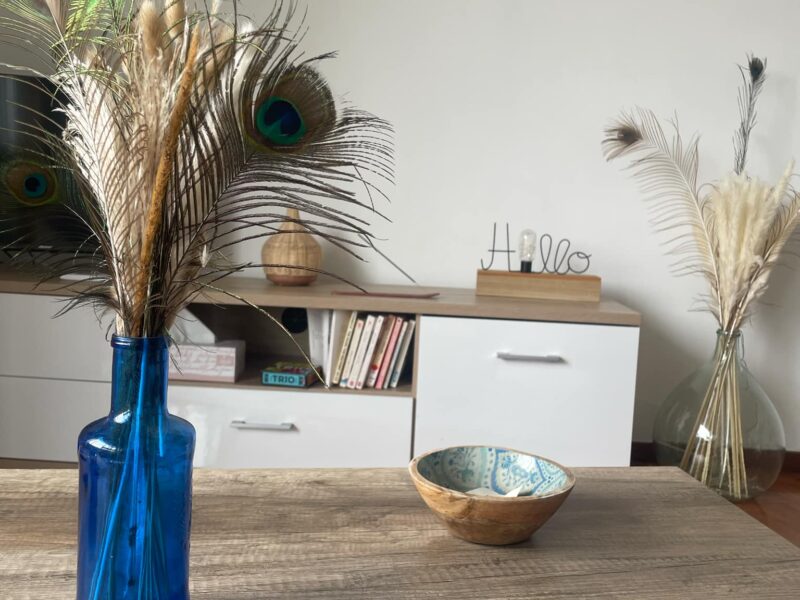 The Green coast Nest