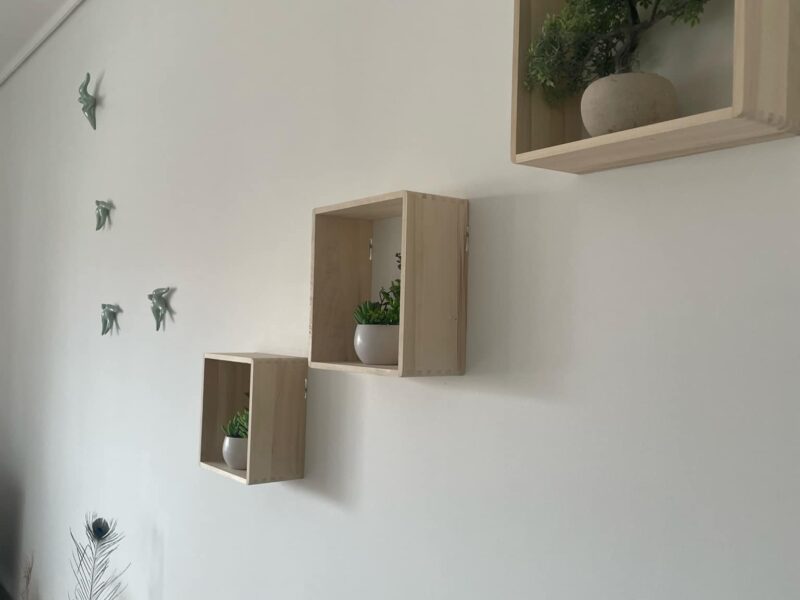 The Green coast Nest