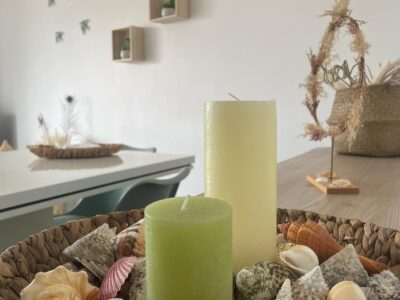 The Green coast Nest