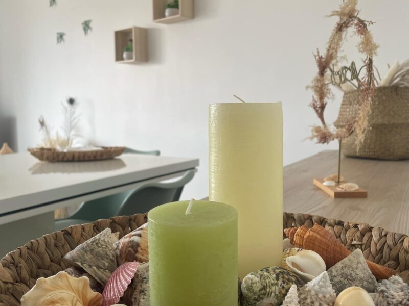 The Green coast Nest