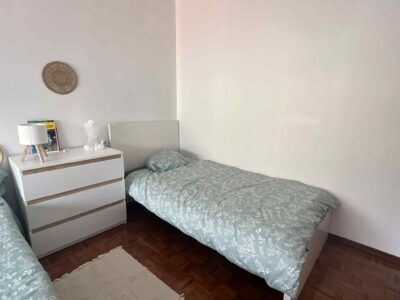 The Green coast Nest